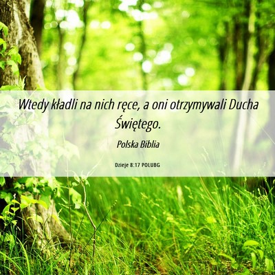 Picture 06 - Dzieje 8:17 POLUBG - Wtedy kładli na nich ręce, a oni otrzymywali - Bible Verse Picture