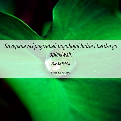 Picture 06 - Dzieje 8:2 POLUBG - Szczepana zaś pogrzebali bogobojni ludzie i - Bible Verse Picture