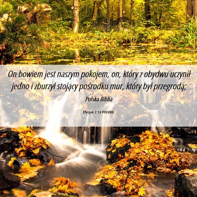 Picture 06 - Efezjan 2:14 POLUBG - On bowiem jest naszym pokojem, on, który z - Bible Verse Picture