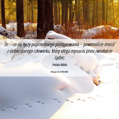 Picture 06 - Efezjan 4:22 POLUBG - Że – co się tyczy poprzedniego postępowania - Bible Verse Picture