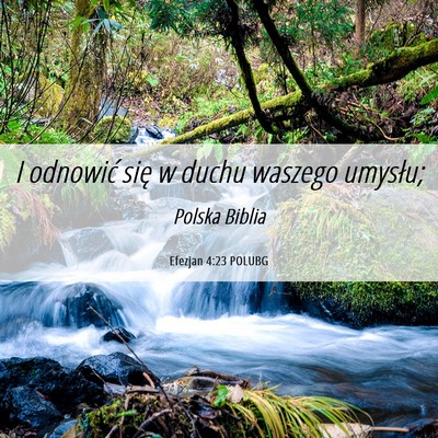 Picture 06 - Efezjan 4:23 POLUBG - I odnowić się w duchu waszego - Bible Verse Picture