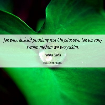 Picture 06 - Efezjan 5:24 POLUBG - Jak więc kościół poddany jest Chrystusowi, - Bible Verse Picture
