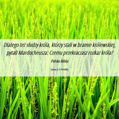 Picture 06 - Estery 3:3 POLUBG - Dlatego też słudzy króla, którzy stali w - Bible Verse Picture
