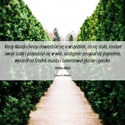Picture 06 - Estery 4:1 POLUBG - Kiedy Mardocheusz dowiedział się o wszystkim, - Bible Verse Picture