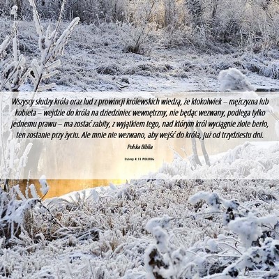 Picture 06 - Estery 4:11 POLUBG - Wszyscy słudzy króla oraz lud z prowincji - Bible Verse Picture
