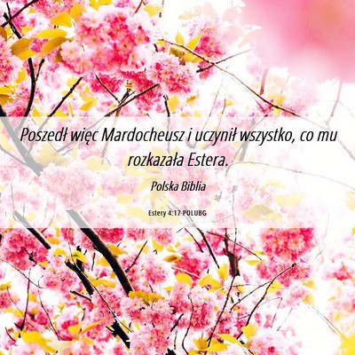 Picture 06 - Estery 4:17 POLUBG - Poszedł więc Mardocheusz i uczynił wszystko, - Bible Verse Picture