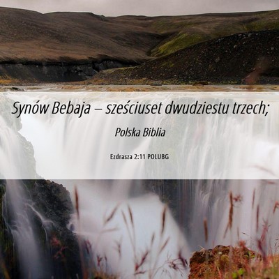 Picture 06 - Ezdrasza 2:11 POLUBG - Synów Bebaja – sześciuset dwudziestu - Bible Verse Picture