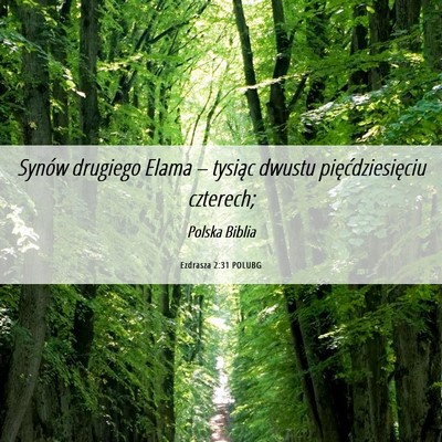 Picture 06 - Ezdrasza 2:31 POLUBG - Synów drugiego Elama – tysiąc dwustu - Bible Verse Picture