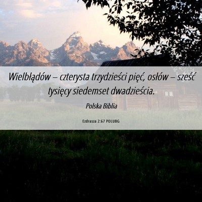 Picture 06 - Ezdrasza 2:67 POLUBG - Wielbłądów – czterysta trzydzieści pięć, - Bible Verse Picture