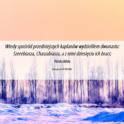 Picture 06 - Ezdrasza 8:24 POLUBG - Wtedy spośród przedniejszych kapłanów - Bible Verse Picture