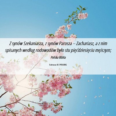 Picture 06 - Ezdrasza 8:3 POLUBG - Z synów Szekaniasza, z synów Parosza – - Bible Verse Picture
