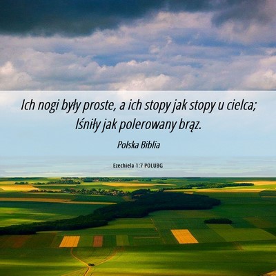 Picture 06 - Ezechiela 1:7 POLUBG - Ich nogi były proste, a ich stopy jak stopy u - Bible Verse Picture