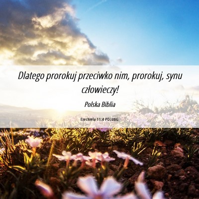 Picture 06 - Ezechiela 11:4 POLUBG - Dlatego prorokuj przeciwko nim, prorokuj, synu - Bible Verse Picture