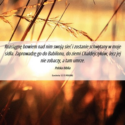 Picture 06 - Ezechiela 12:13 POLUBG - Rozciągnę bowiem nad nim swoją sieć i - Bible Verse Picture