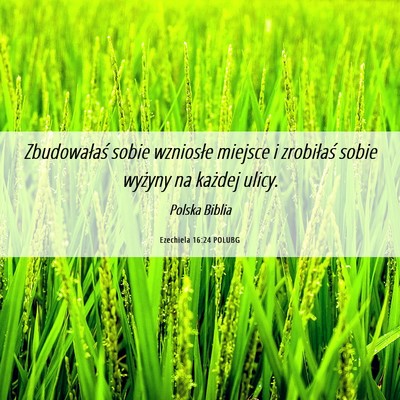 Picture 06 - Ezechiela 16:24 POLUBG - Zbudowałaś sobie wzniosłe miejsce i zrobiłaś - Bible Verse Picture
