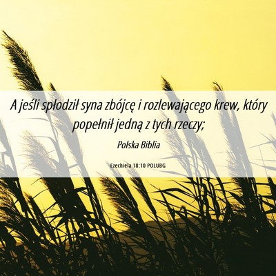 Picture 06 - Ezechiela 18:10 POLUBG - A jeśli spłodził syna zbójcę i - Bible Verse Picture