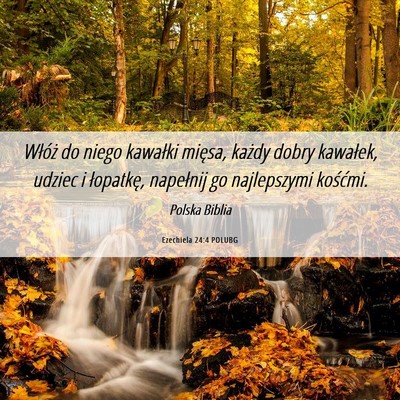 Picture 06 - Ezechiela 24:4 POLUBG - Włóż do niego kawałki mięsa, każdy dobry - Bible Verse Picture