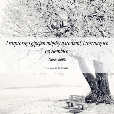 Picture 06 - Ezechiela 30:23 POLUBG - I rozproszę Egipcjan między narodami, i - Bible Verse Picture