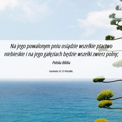 Picture 06 - Ezechiela 31:13 POLUBG - Na jego powalonym pniu osiądzie wszelkie ptactwo - Bible Verse Picture