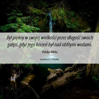 Picture 06 - Ezechiela 31:7 POLUBG - Był piękny w swojej wielkości przez długość - Bible Verse Picture