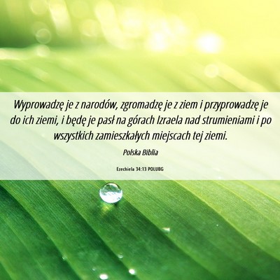 Picture 06 - Ezechiela 34:13 POLUBG - Wyprowadzę je z narodów, zgromadzę je z ziem i - Bible Verse Picture