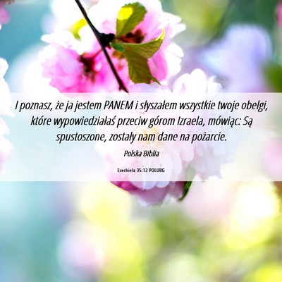 Picture 06 - Ezechiela 35:12 POLUBG - I poznasz, że ja jestem PANEM i słyszałem - Bible Verse Picture