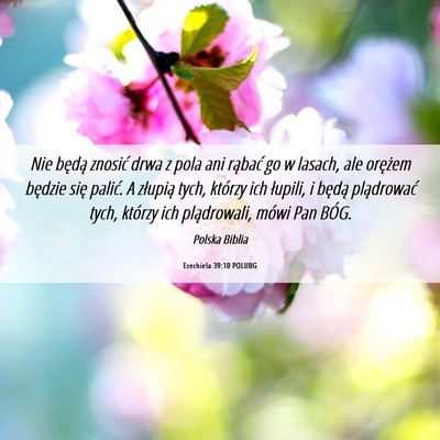 Picture 06 - Ezechiela 39:10 POLUBG - Nie będą znosić drwa z pola ani rąbać go w - Bible Verse Picture