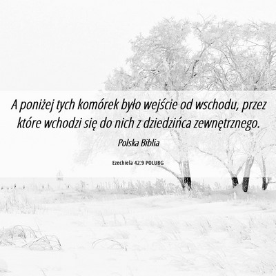Picture 06 - Ezechiela 42:9 POLUBG - A poniżej tych komórek było wejście od - Bible Verse Picture