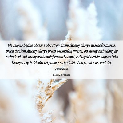 Picture 06 - Ezechiela 45:7 POLUBG - Dla księcia będzie obszar z obu stron działu - Bible Verse Picture