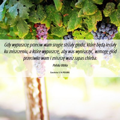 Picture 06 - Ezechiela 5:16 POLUBG - Gdy wypuszczę przeciw wam srogie strzały - Bible Verse Picture