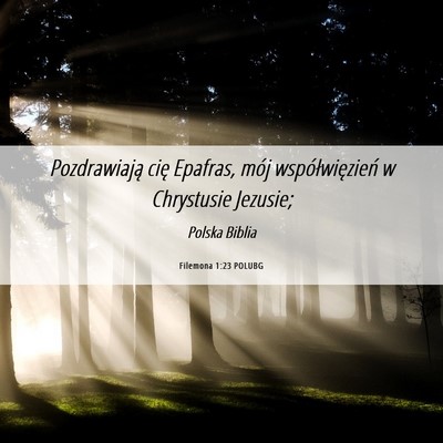 Picture 06 - Filemona 1:23 POLUBG - Pozdrawiają cię Epafras, mój współwięzień - Bible Verse Picture