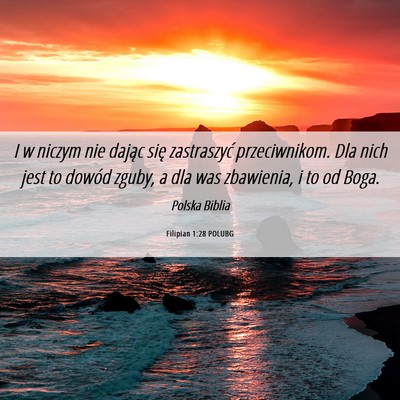 Picture 06 - Filipian 1:28 POLUBG - I w niczym nie dając się zastraszyć - Bible Verse Picture