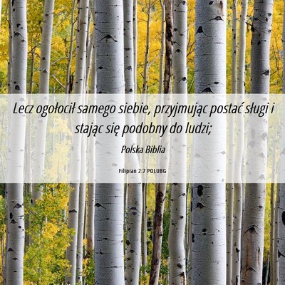 Picture 06 - Filipian 2:7 POLUBG - Lecz ogołocił samego siebie, przyjmując - Bible Verse Picture