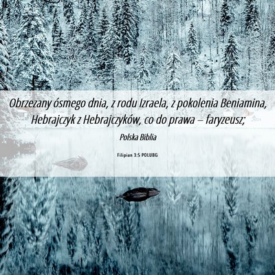 Picture 06 - Filipian 3:5 POLUBG - Obrzezany ósmego dnia, z rodu Izraela, z - Bible Verse Picture