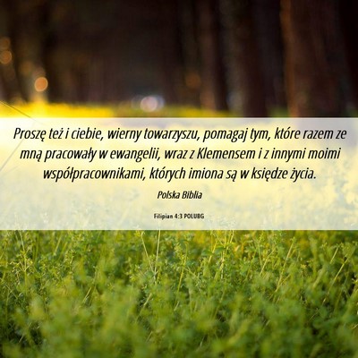 Picture 06 - Filipian 4:3 POLUBG - Proszę też i ciebie, wierny towarzyszu, pomagaj - Bible Verse Picture