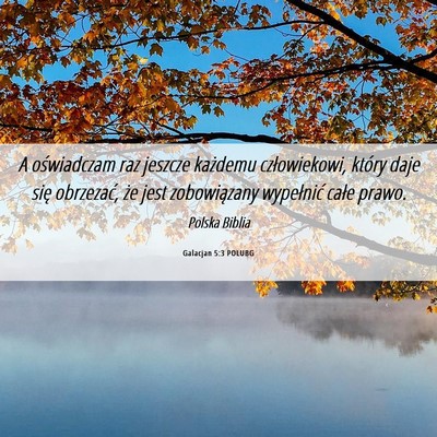 Picture 06 - Galacjan 5:3 POLUBG - A oświadczam raz jeszcze każdemu człowiekowi, - Bible Verse Picture