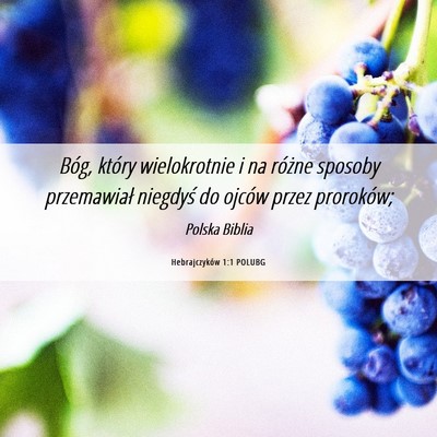 Picture 06 - Hebrajczyków 1:1 POLUBG - Bóg, który wielokrotnie i na różne sposoby - Bible Verse Picture