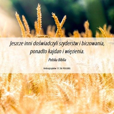 Picture 06 - Hebrajczyków 11:36 POLUBG - Jeszcze inni doświadczyli szyderstw i - Bible Verse Picture