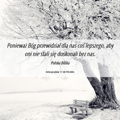 Picture 06 - Hebrajczyków 11:40 POLUBG - Ponieważ Bóg przewidział dla nas coś - Bible Verse Picture