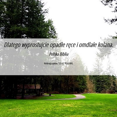 Picture 06 - Hebrajczyków 12:12 POLUBG - Dlatego wyprostujcie opadłe ręce i omdlałe - Bible Verse Picture