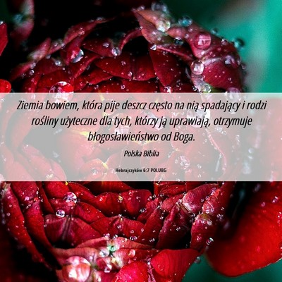 Picture 06 - Hebrajczyków 6:7 POLUBG - Ziemia bowiem, która pije deszcz często na nią - Bible Verse Picture