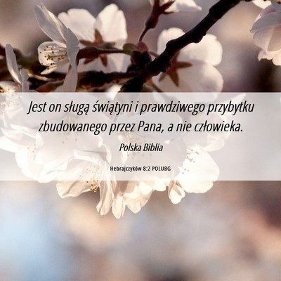 Picture 06 - Hebrajczyków 8:2 POLUBG - Jest on sługą świątyni i prawdziwego - Bible Verse Picture