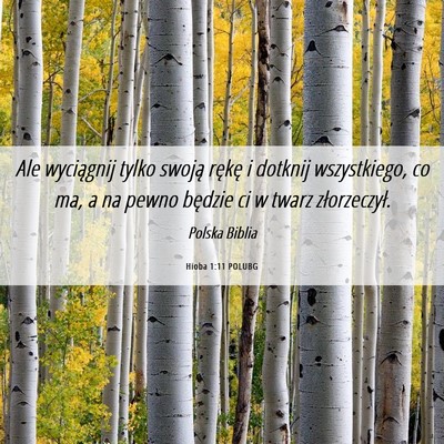 Picture 06 - Hioba 1:11 POLUBG - Ale wyciągnij tylko swoją rękę i dotknij - Bible Verse Picture