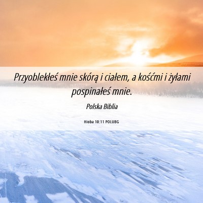 Picture 06 - Hioba 10:11 POLUBG - Przyoblekłeś mnie skórą i ciałem, a kośćmi - Bible Verse Picture