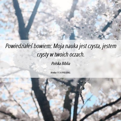 Picture 06 - Hioba 11:4 POLUBG - Powiedziałeś bowiem: Moja nauka jest czysta, - Bible Verse Picture