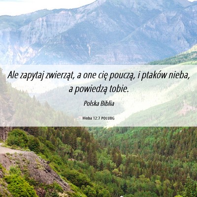 Picture 06 - Hioba 12:7 POLUBG - Ale zapytaj zwierząt, a one cię pouczą, i - Bible Verse Picture