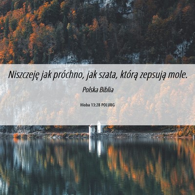 Picture 06 - Hioba 13:28 POLUBG - Niszczeję jak próchno, jak szata, którą - Bible Verse Picture
