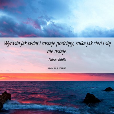 Picture 06 - Hioba 14:2 POLUBG - Wyrasta jak kwiat i zostaje podcięty, znika jak - Bible Verse Picture