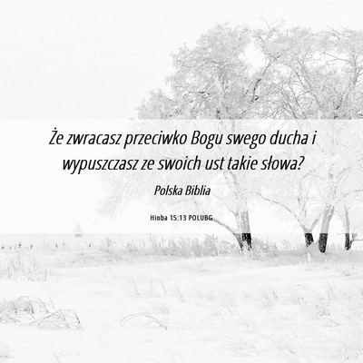 Picture 06 - Hioba 15:13 POLUBG - Że zwracasz przeciwko Bogu swego ducha i - Bible Verse Picture