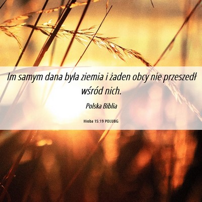 Picture 06 - Hioba 15:19 POLUBG - Im samym dana była ziemia i żaden obcy nie - Bible Verse Picture